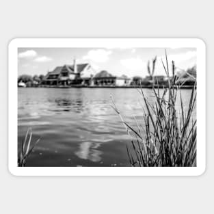 Reeds on the bank of the River Bure, Horning Sticker